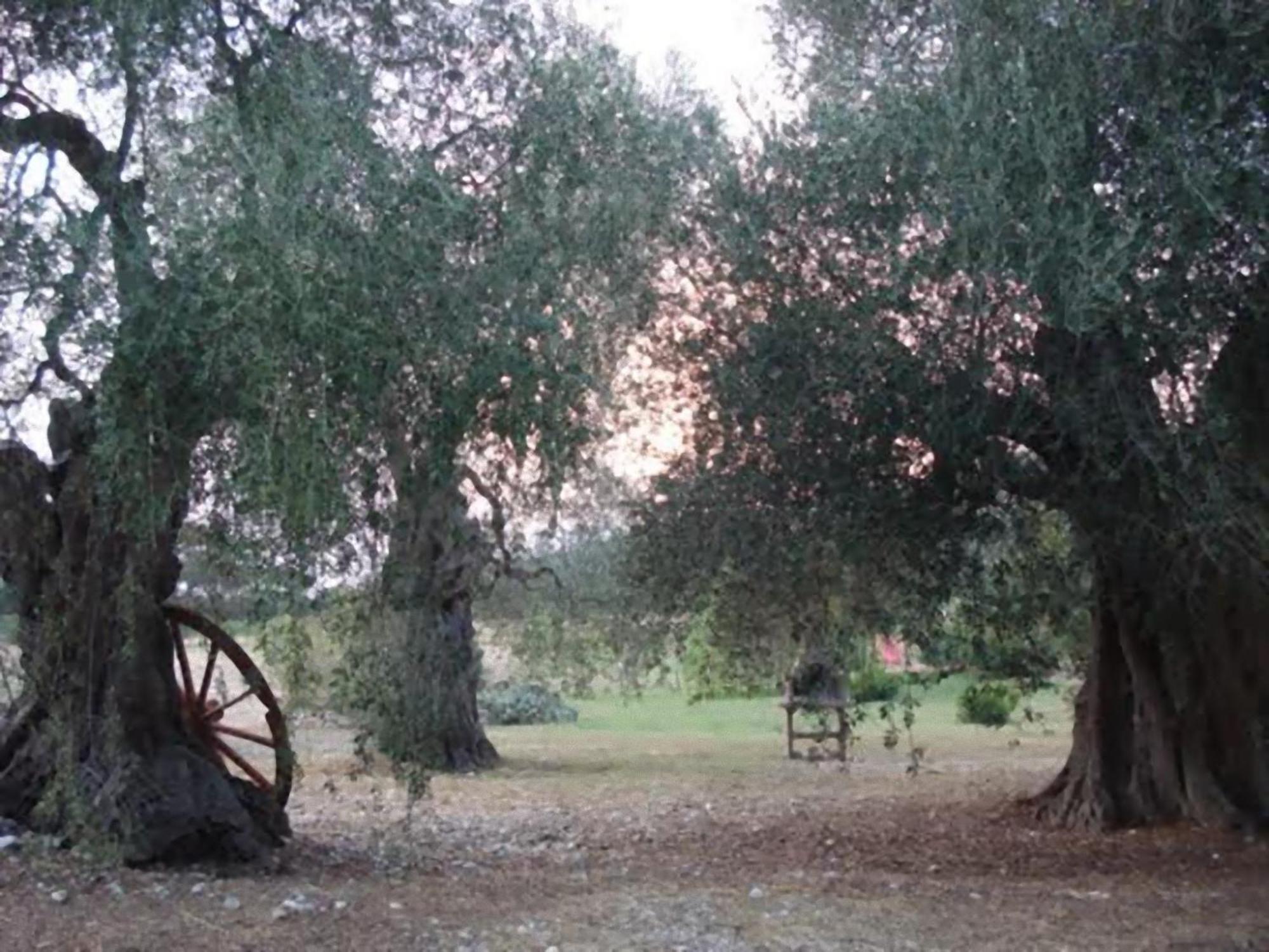 페스키치 La Piana Di Calena 빌라 외부 사진